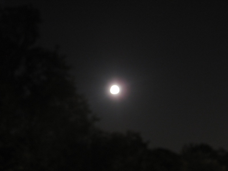 stillness-4