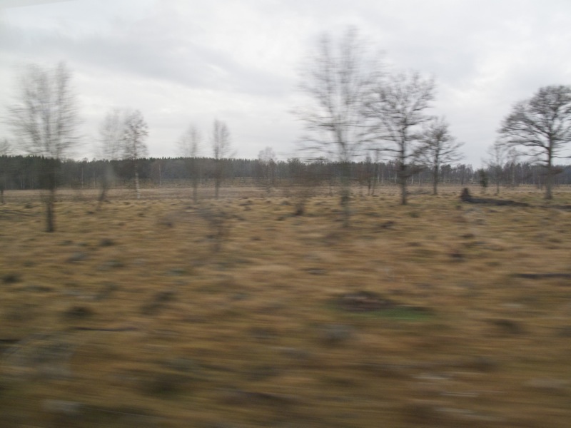 firstclass-0