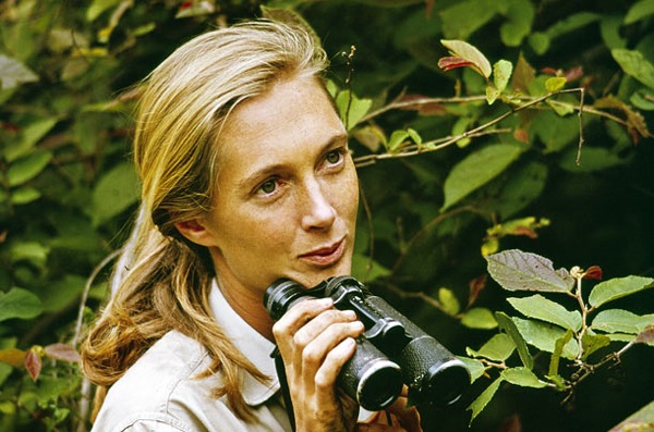 jane