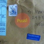 IMG_8523
