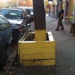 trees-0