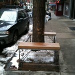 trees-1