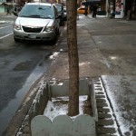trees-2