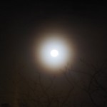 bronte-10