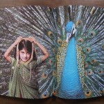 lollobrigida-1