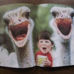 lollobrigida-2