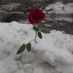 mary-2