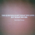 thequestion