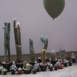 weakend-7