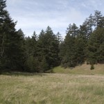 wackers – 01
