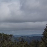 wackers – 13