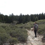 wackers – 15
