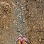 wackers – 16