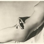 horst4