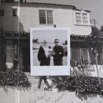 meadows-2
