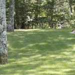 watermill-18