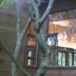 watermill-28