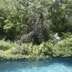 watermill-5