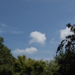 watermill-8
