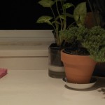 handholds-15