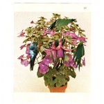 bloemen016714