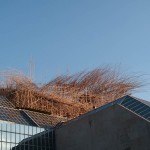 manoman-4