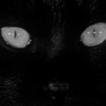 neko