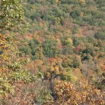 ridge-15