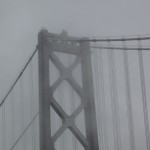 sanfran – 4