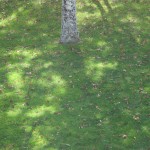 watermilling-13
