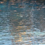 watermilling-19