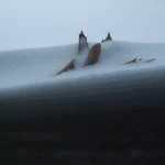 peak-3