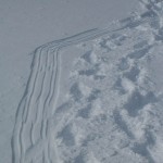 peak-9