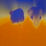 Screen shot 2011-01-05 at 7.37.15 AM