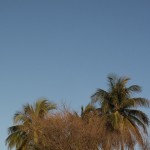 cristobal-1