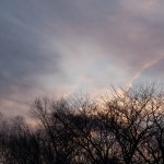 elevenkid-22