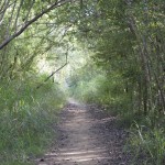 hiddenbay-0