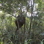 hiddenbay-1