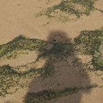 hiddenbay-13