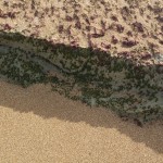 hiddenbay-14