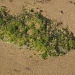 hiddenbay-15