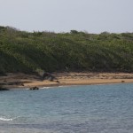 hiddenbay-16