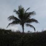 hiddenbay-17