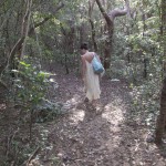 hiddenbay-18