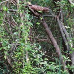 hiddenbay-3