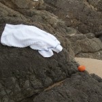 hiddenbay-8