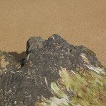 hiddenbay-9