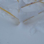 loops-2
