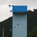 sjpr-11
