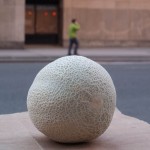 babysbreath-7
